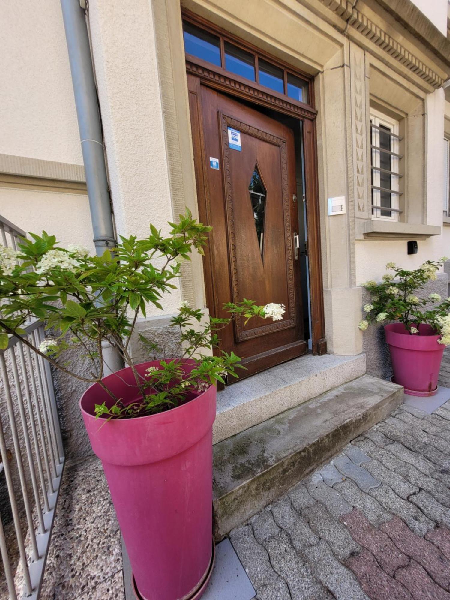 שטרסבורג Le Cocon D'Emma, Appartement Bourgeois Avec Terrasse, Et Parking Gratuit Dans Maison De Maitre מראה חיצוני תמונה